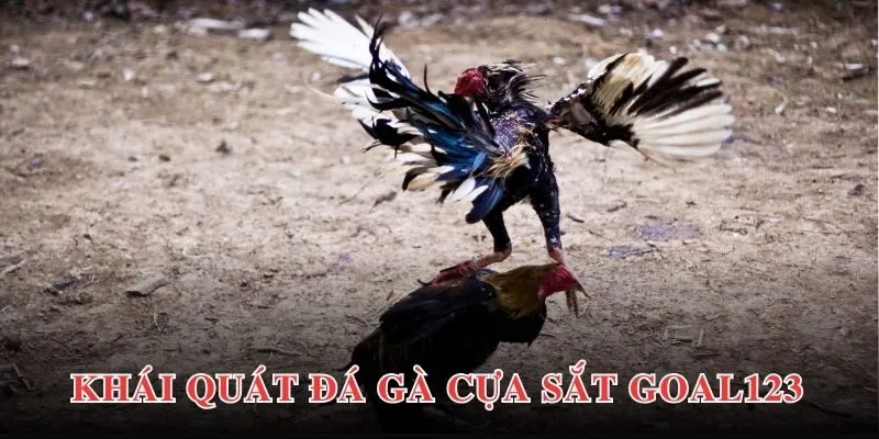 Thông tin giới thiệu một cách khái quát nhất về đá gà cựa sắt GOAL123